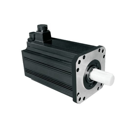 ໃຫຍ່ AC Servo Motor